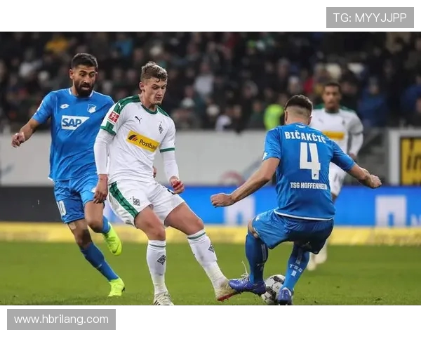 2025年德甲新晋级球队完整名单公布,升班马有哪些看点?